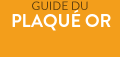 Guide des matières: qu'est ce que le Plaqué Or