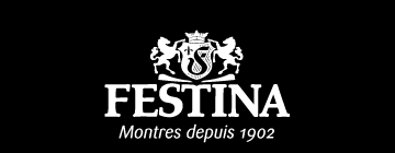 Montres Festina Homme