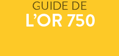 Guide des matières: qu'est ce que l'Or 750