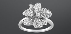 Diamant et or blanc