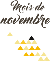 Pierre du mois de Novembre : La citrine