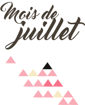 Pierre du mois de Juillet : le rubis