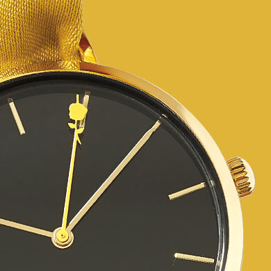 Zoom Montre Belle Disney