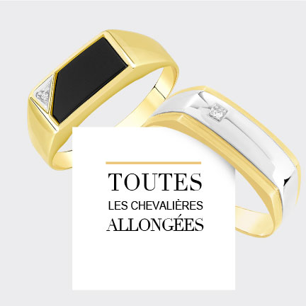 Toutes les chevalières allongées
