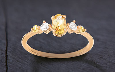 Bijou du mois de novembre